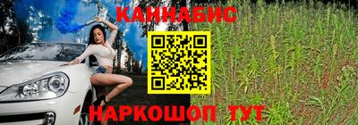 гашик Ипатово