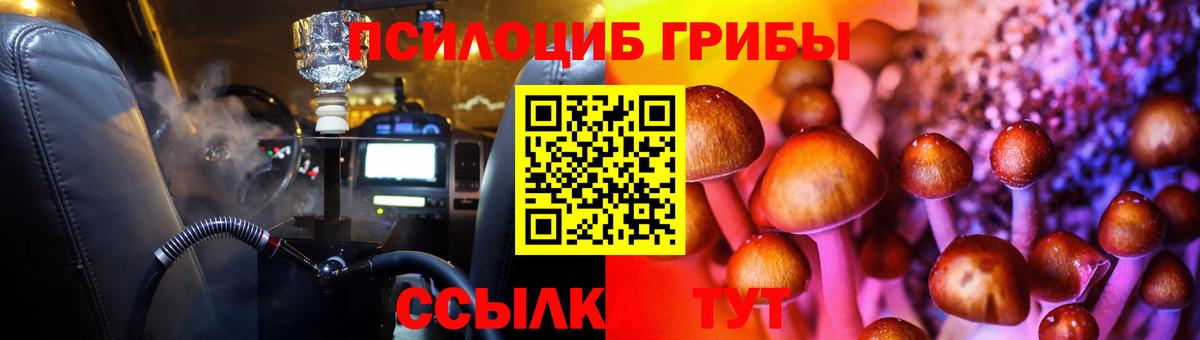 Псилоцибиновые грибы Cubensis Гурьевск