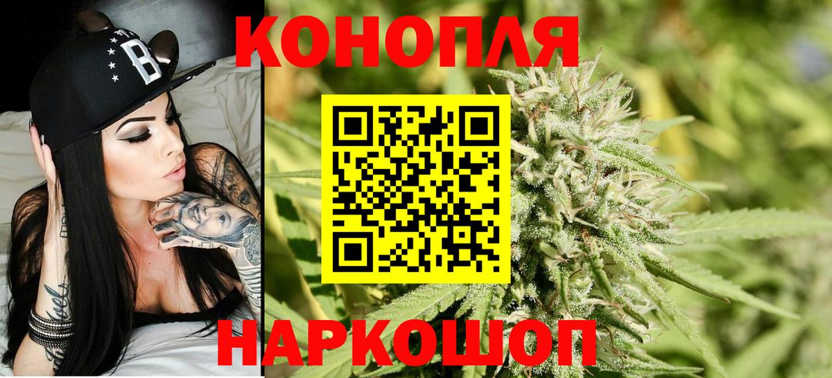 Конопля ГИДРОПОН Гурьевск
